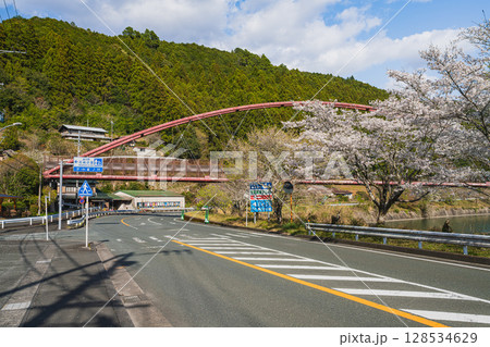 浜松市の道の駅天竜相津花桃の里付近から見る夢のかけ橋の風景(静岡県) 128534629