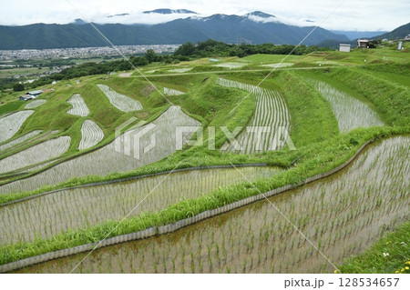 棚田の風景 128534657