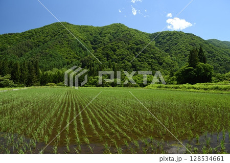 里山の田園風景 里山の田園風景 128534661