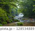 緑の中に流れる滝 128534889