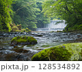 新緑に包まれた滝 128534892