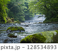緑の中に流れる滝 128534893
