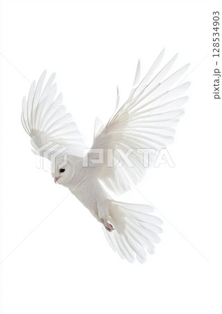 Snowy owl spreading expansive wings, gliding seamlessly through pristine white skyline, revealing intricate feather details and aerial prowess 128534903