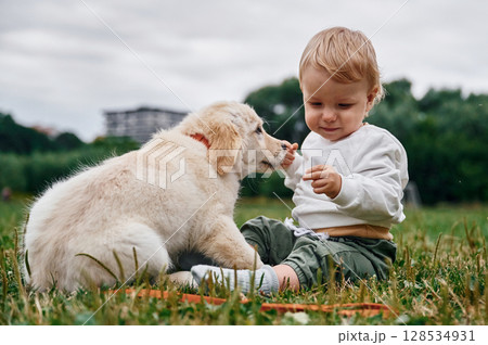 Little boy with golden retriever dog on the field Little boy with golden retriever dog on the field 128534931