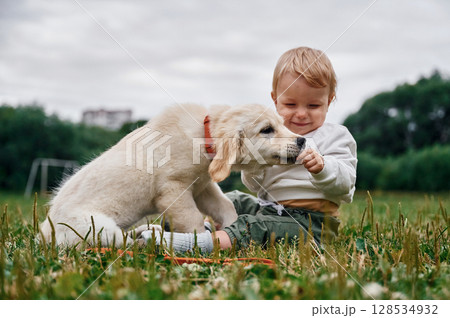 Little boy with golden retriever dog on the field Little boy with golden retriever dog on the field 128534932