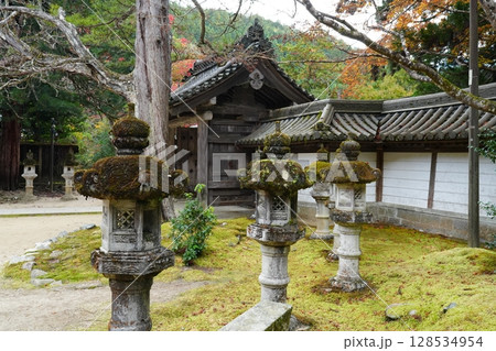 京都　秋の西明寺 128534954