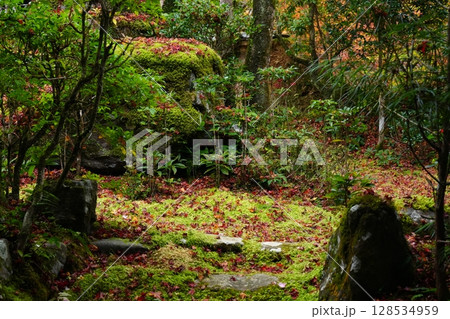 京都 秋の西明寺の庭園 京都 秋の西明寺の庭園 128534959