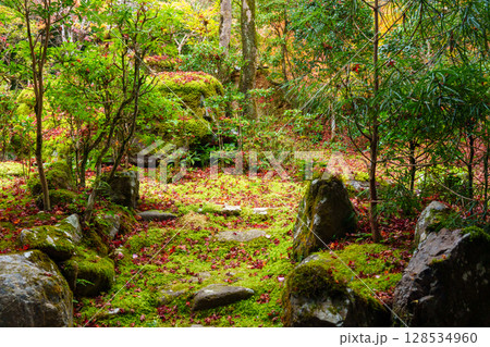 京都 秋の西明寺の庭園 京都 秋の西明寺の庭園 128534960