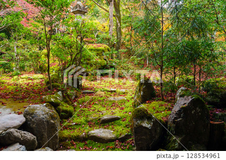 京都　秋の西明寺の庭園 128534961