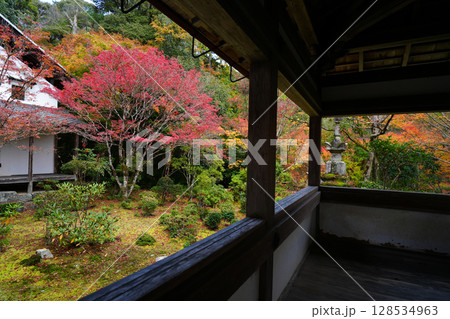 京都　秋の西明寺の庭園 128534963