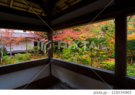 京都　秋の西明寺の庭園 128534965