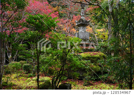 京都　秋の西明寺の庭園 128534967