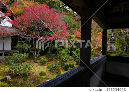 京都 秋の西明寺の庭園 京都 秋の西明寺の庭園 128534968