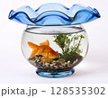 金魚鉢に入った金魚 128535302