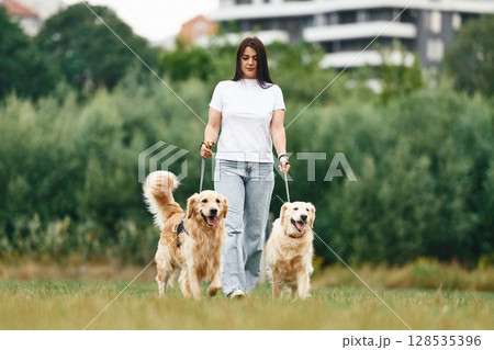 Holding animals by the leash. Woman with beautiful dogs are in the field outdoors 128535396