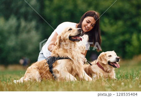 Woman with beautiful dogs are in the field outdoors Woman with beautiful dogs are in the field outdoors 128535404