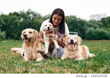 Woman with beautiful dogs are in the field outdoors Woman with beautiful dogs are in the field outdoors 128535428
