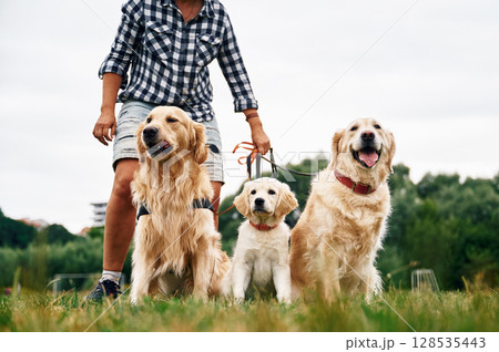 Standing and holding animals on the leash. Woman with beautiful dogs are in the field outdoors 128535443