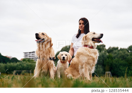 Front view. Woman with beautiful dogs are in the field outdoors 128535444
