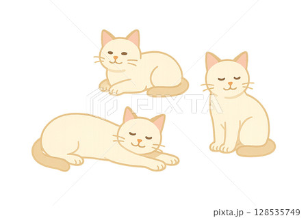 3匹の白猫　夏を感じる可愛いイラストパーツ 128535749