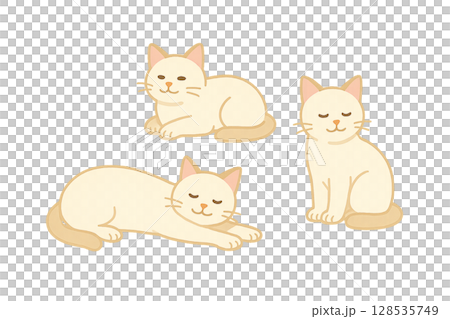 三隻白貓－讓人感受到夏天的可愛插圖 128535749