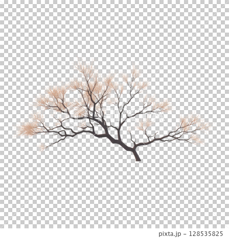 Delicate, artistic illustration of tree branch with soft, feathery leaves against transparent background, evoking sense of tranquility and nature beauty Delicate, artistic illustration of tree branch with soft, feathery leaves against transparent background, evoking sense of tranquility and nature beauty 128535825