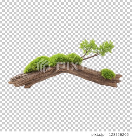 Piece of driftwood with vibrant green moss and small branch creates natural, serene composition. contrast between wood texture and lush moss adds visual interest Piece of driftwood with vibrant green moss and small branch creates natural, serene composition. contrast between wood texture and lush moss adds visual interest 128536206
