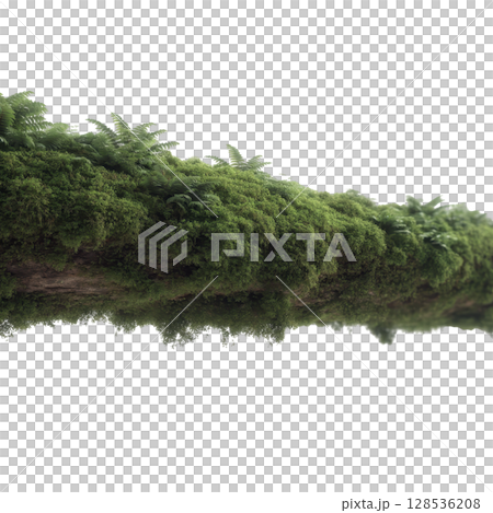 Lush, green moss covered log with ferns growing it creates serene and natural atmosphere, perfect for forest or woodland setting. vibrant greenery evokes sense of tranquility and connection to Lush, green moss covered log with ferns growing it creates serene and natural atmosphere, perfect for forest or woodland setting. vibrant greenery evokes sense of tranquility and connection to 128536208