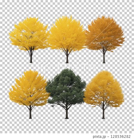 Collection of six trees showcasing vibrant autumn colors, including shades of yellow, orange, and green, arranged in two rows. image captures beauty of seasonal change 128536282