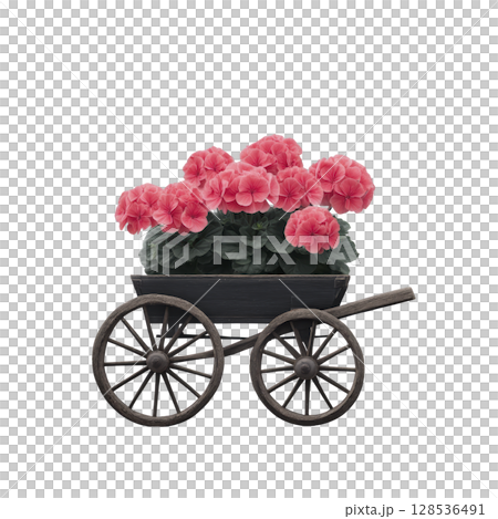 Rustic wooden cart filled with vibrant pink geranium flowers creates charming and colorful display. cart vintage design adds nostalgic touch, enhancing floral arrangement appeal 128536491