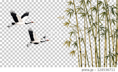Natural landscape of bamboo forest in the morning with bamboo, trees and bright green leaves on white background 128536711