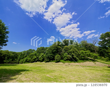 初夏の青空 森林公園の芝生広場 初夏の青空 森林公園の芝生広場 128536970