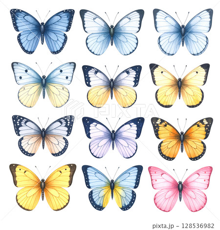 Seamless pattern featuring a beautiful collection of colorful flying butterflies Seamless pattern featuring a beautiful collection of colorful flying butterflies 128536982