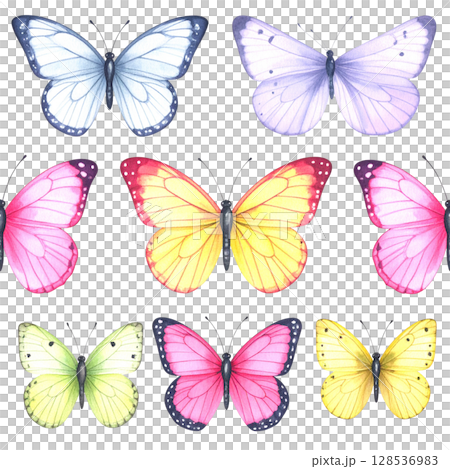 Seamless pattern featuring a beautiful collection of colorful flying butterflies Seamless pattern featuring a beautiful collection of colorful flying butterflies 128536983