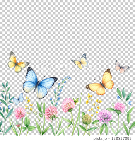 Illustration of white flowers with leaves and butterfly isolated on white background 128537095