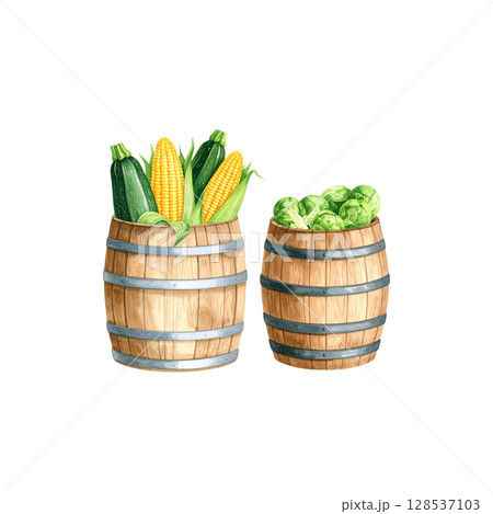 Colorful fresh vegetables from the market isolated on white background Colorful fresh vegetables from the market isolated on white background 128537103