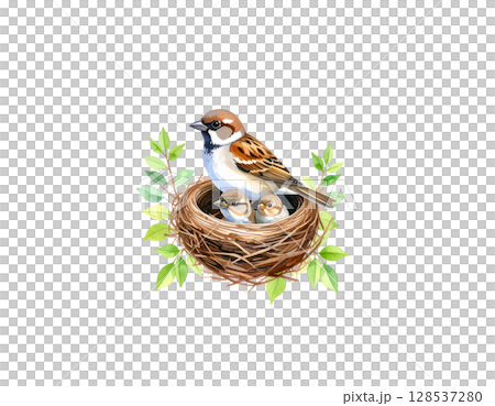 Close-up wildlife footage reveals a brown bird's nest with eggs hidden in a green leaf 128537280