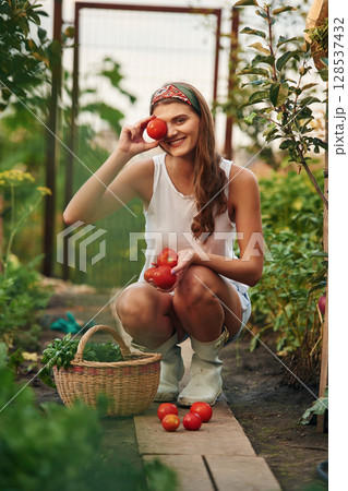 With tomatoes. Beautiful young woman is gardening With tomatoes. Beautiful young woman is gardening 128537432
