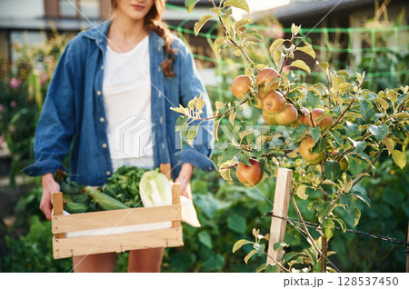 Beautiful young woman is gardening Beautiful young woman is gardening 128537450