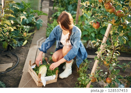 Beautiful young woman is gardening 128537453