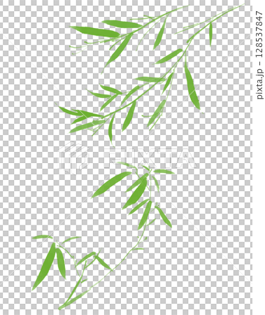 水彩竹葉插圖 128537847