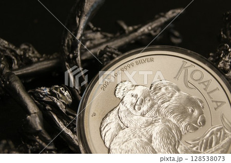 Silver investment coins on silver pieces. Australian 1 dollar koala 2023. 128538073