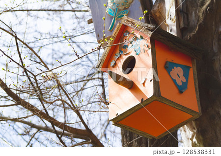 Bird feeders. Feeding birds in the forest. Birdhouse on a tree. 128538331