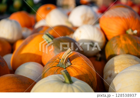 Close-up of assorted pumpkins in outdoor autumn market 128538937