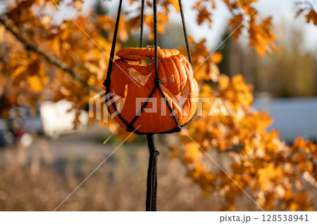 Carved Halloween pumpkins hanging from autumn tree branches Carved Halloween pumpkins hanging from autumn tree branches 128538941