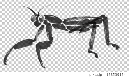 カマキリの水墨イラスト 128539154