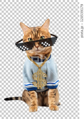 Bengal cat with pixelated glasses and a gold chain. 128539179