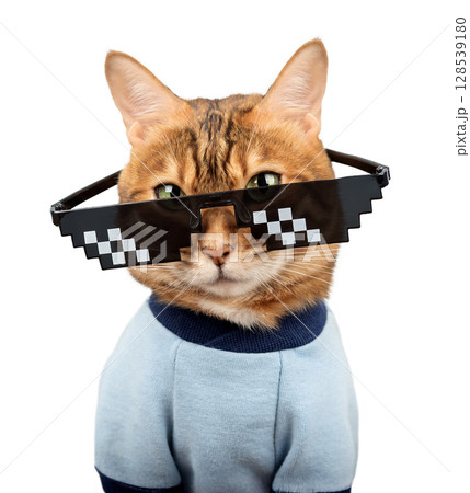 Bengal cat wearing pixelated glasses. 128539180
