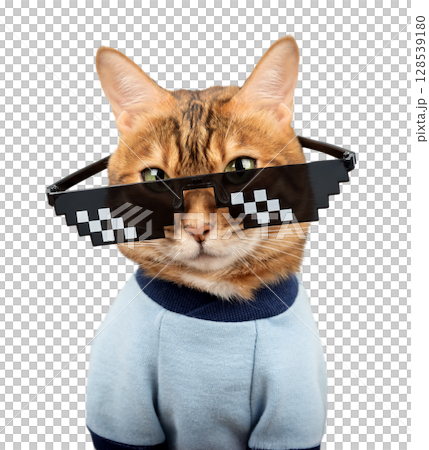 Bengal cat wearing pixelated glasses. 128539180