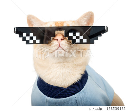 Burmese cat wearing pixelated glasses and a blue T-shirt. Burmese cat wearing pixelated glasses and a blue T-shirt. 128539183